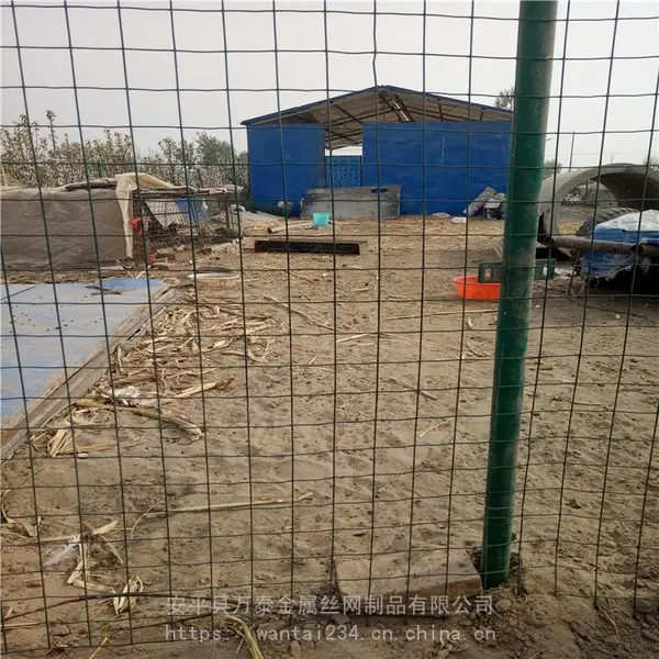 万泰鸡苗网 塑料养殖网 养鸡荷兰网