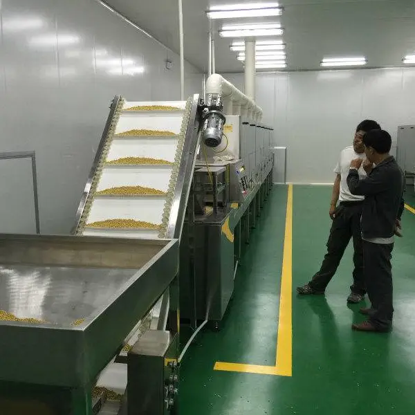 大豆微波灭活设备 微波设备可解决大豆灭活问题