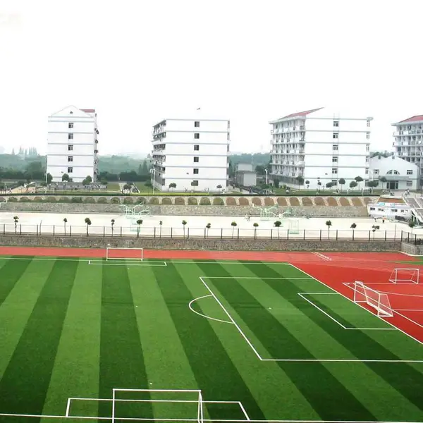 郴州塑胶跑道施工_学校塑胶跑道球场翻新施工_各类球场跑道建设施工_能冠体育工程