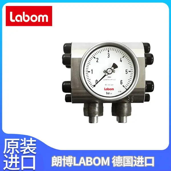 ��ѹ��NS 100/160��ĤƬ���ر�����ĤBD3200Labom�ʲ�