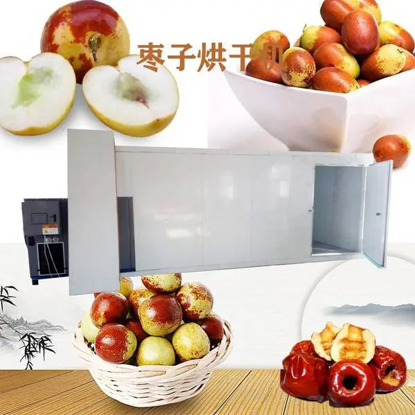 冬枣烘干机 冬枣干燥机 蓝天