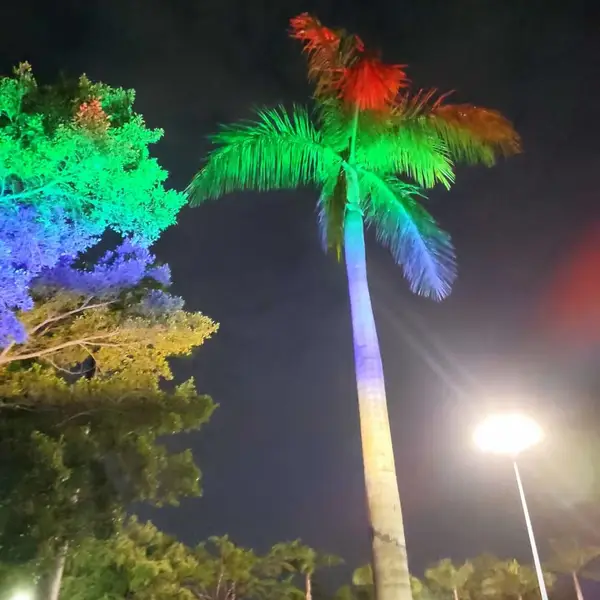 染色投射灯 溶洞园林景区亮化照明器具 一个物体一盏灯 渲染出五光十色美景