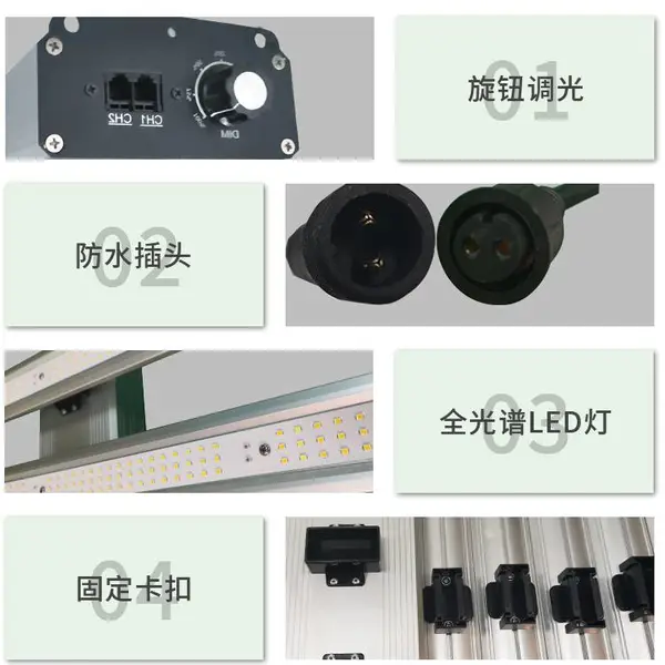 ���Ҵ���LEDֲ���-ȫ���״��ʿ��۵��ɲ�ж