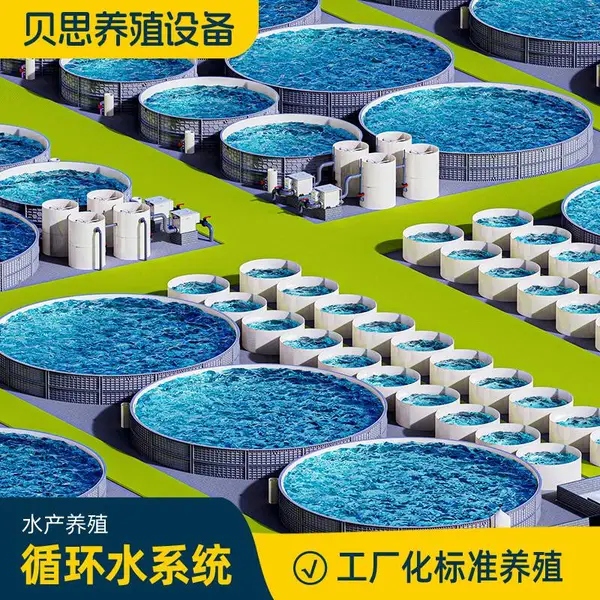 循环水养殖系统智能工厂化RAS高密度水产鱼虾水处理过滤系统设备