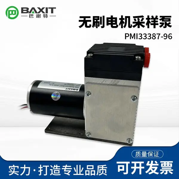 BAXIT PM33387-96 工业气体采样泵 DC24V 无刷耐腐蚀隔膜真空泵