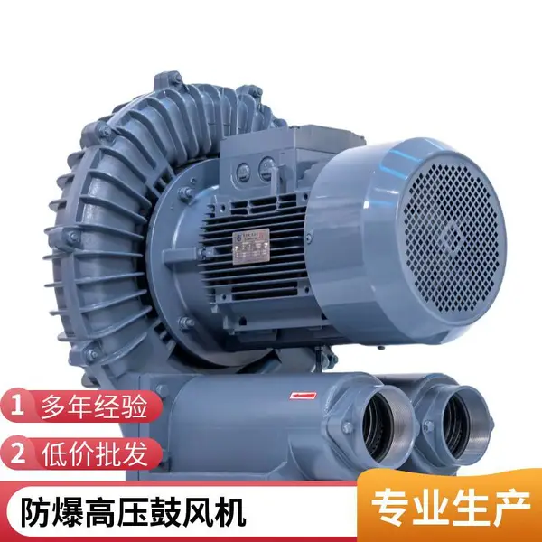 风量大型号全 风机漩涡气泵 RB-81D-2/5.5kw 有机肥发酵高压鼓风机