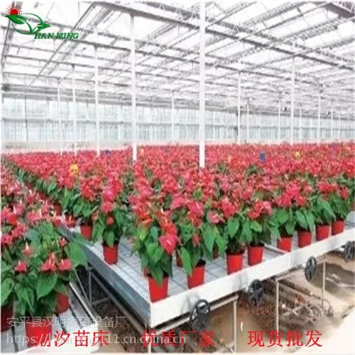 现代农业潮汐灌溉苗床在种植有机蔬菜中起到的作用