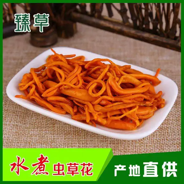 新鲜北虫草大孢子头,可以煲汤的新鲜北虫草