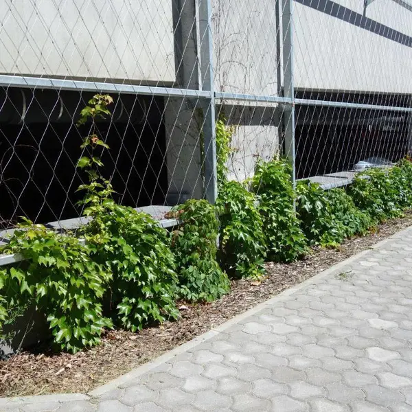 煊嵘 定制墙体植物攀爬金属网 316不锈钢网 指导安装