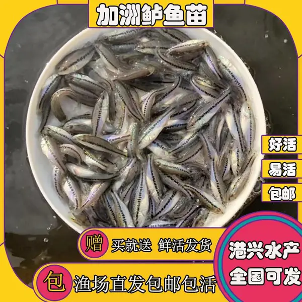 �������ں�ũҵˮ������������ ���깩Ӧ ����ˮ����ˮ����***��
