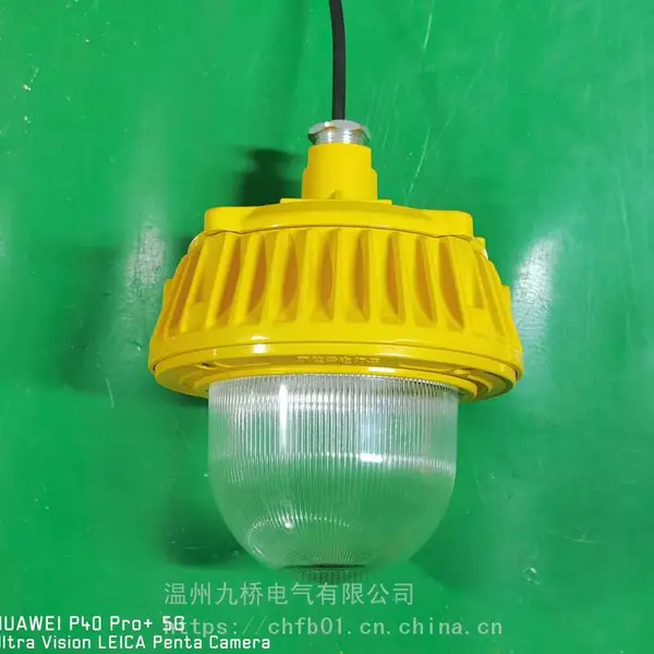 粉尘防爆照明灯 加油站LED防爆照明灯污水处理厂防爆灯