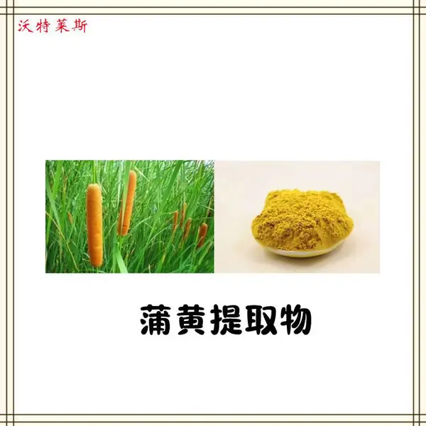 毛蜡烛提取物10:1 蒲黄提取物 浓缩粉 提取液 浸膏 多种规格 1kg起订 包邮