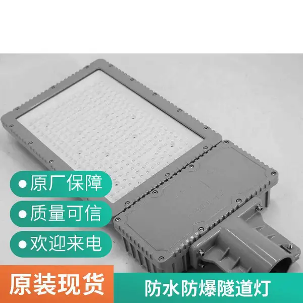 Exdb IICT6 防爆泛光灯 油漆车间防爆投光灯 危险环境防爆平台灯