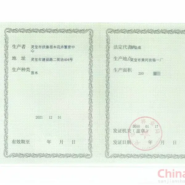 灵宝市林业局发给林木种子生产许可证