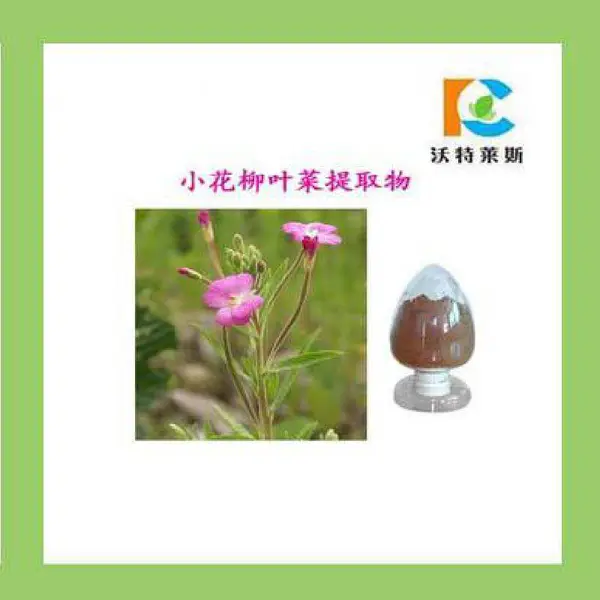 小花柳叶菜提取物 小花柳叶菜粉 浸膏 1公斤起订 多种规格