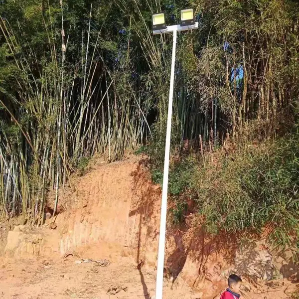 百色德保广东球场灯杆厂家 户外照明杆多款造型