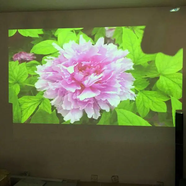 体感打泡泡kinectAR真人抠像打礼物互动科领海洋游戏软件开发定制