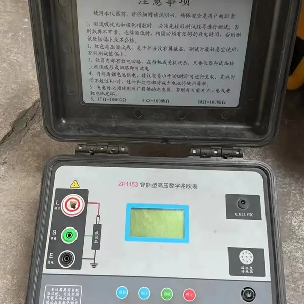 高压数字兆欧表 型号:ZX7M-ZP1153库号:M399818