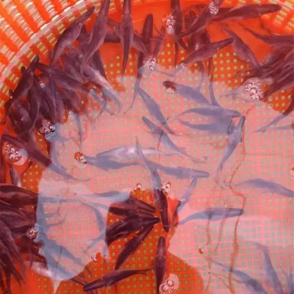 ***Ѽ�������� ���ֵ�ˮѼ������󲻹� Ѽ�����繩Ӧ��