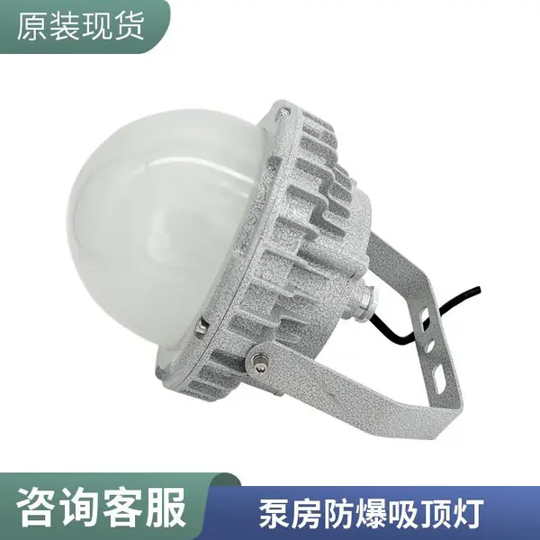 油库防爆高棚灯 储油仓库吊顶式防尘隔爆照明灯具