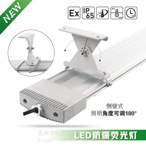 ���շ���LEDӫ��� ����LED����ӫ��� 60WLED��������ӫ���