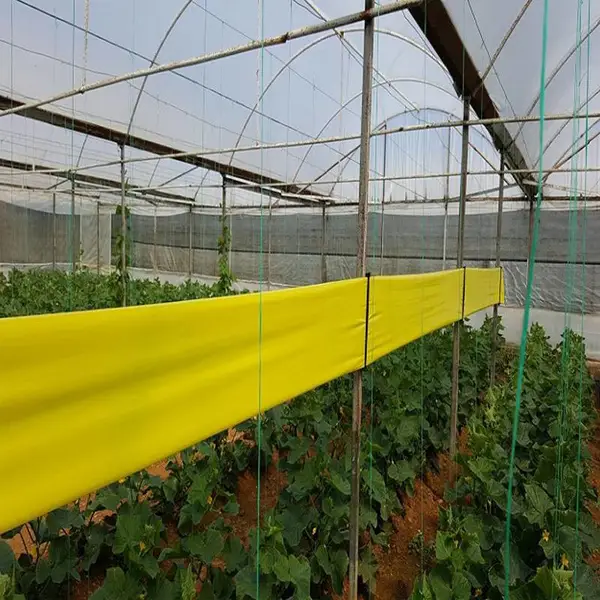 果树粘虫带30cm*100m树木防虫带园林苗木通用双面特粘诱虫带