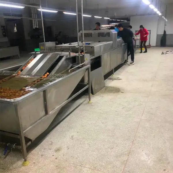 鸭蛋清洗机 双排鸡鸭蛋清洗线 多功能洗蛋机