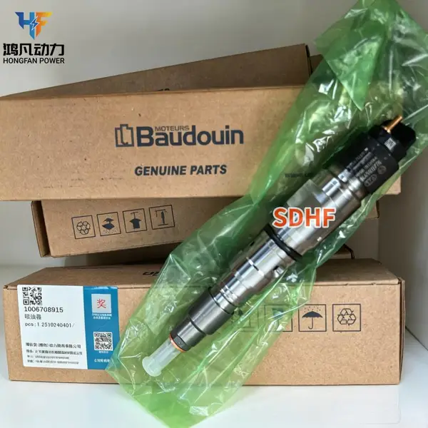 潍柴博杜安配件 6M33/8M33/12M33 喷油器 1006708915