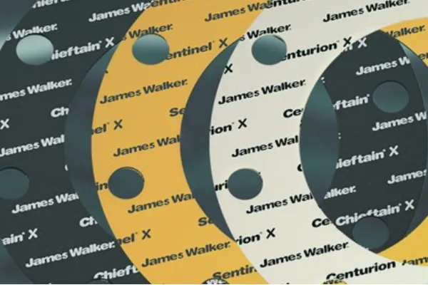 Ӣ��JAMES WALKER��Ȧ��ƬCNAF�͵�Ƭ��ʯ����ճ�ϰ����