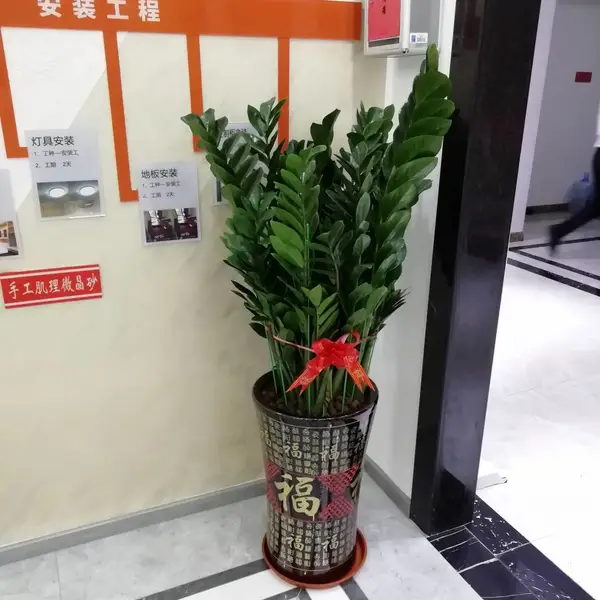 开业花篮 东门商圈同城配送 鲜花绿植上门布置 同城加急配送极速达