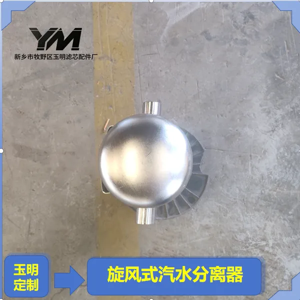旋风式汽水分离器换热站蒸汽脱水旋流离心式汽水分离设备