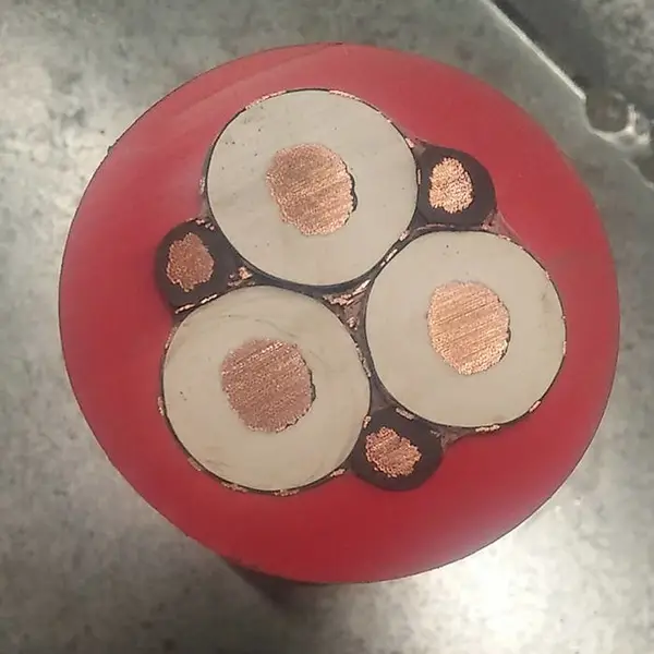 ���ϵ��¼���MYPú�����ƶ��������׵���