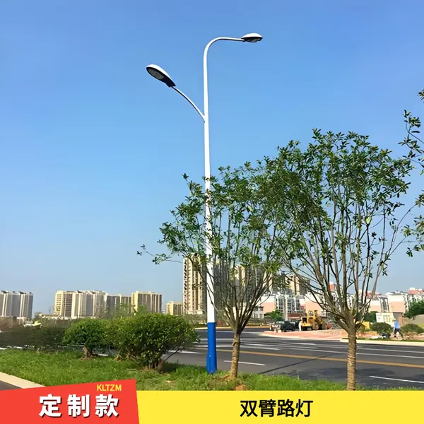 安阳路灯厂 市政工程型杆件 LED光源 亮度高灯具外壳强度足