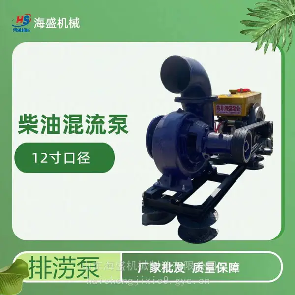 精密过滤喷灌泵 泥浆泵 柴油抽水泵 污水泵 草莓大棚定量施肥泵