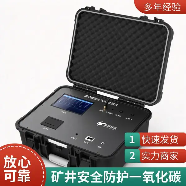防爆型便携式一氧化碳检测仪 泵吸式 燃气站巡检