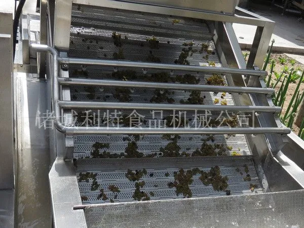 蔬菜清洗机 蔬菜加工设备 果蔬清洗风干流水线