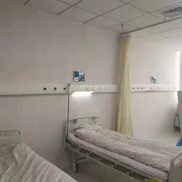 可出口外贸装饰型氧气设备带 壁画终端箱订制
