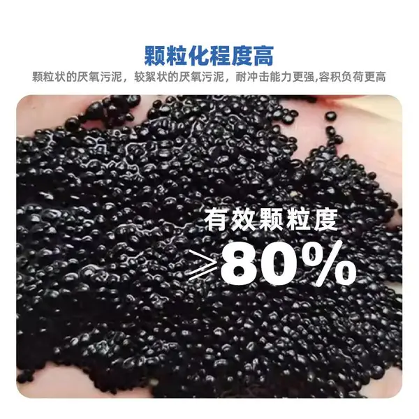 厌氧颗粒污泥 塔 降高浓度COD 污水处理 菌种 菌剂 产甲烷 沼气 活性 絮状