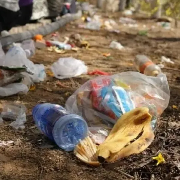 乱扔垃圾监控识别系统 小区垃圾桶满溢出识别系统