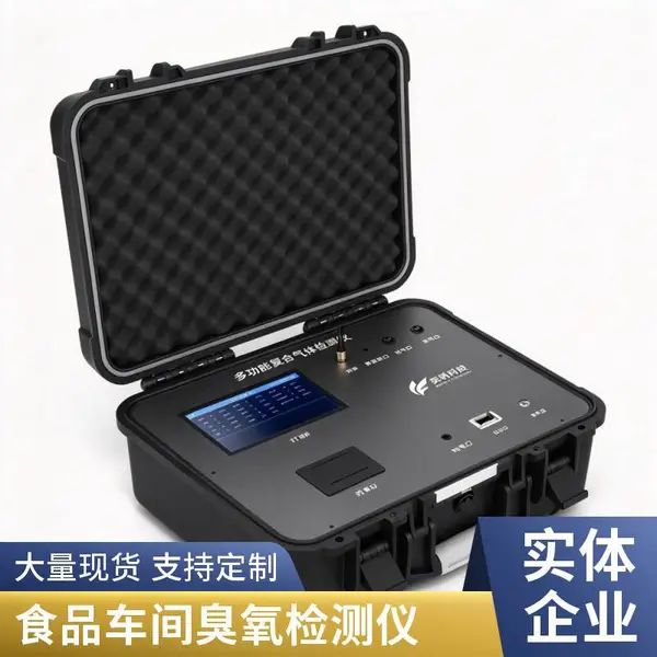 便携式臭氧检测仪 泵吸式采样 臭氧浓度实时监测 化工厂区巡检