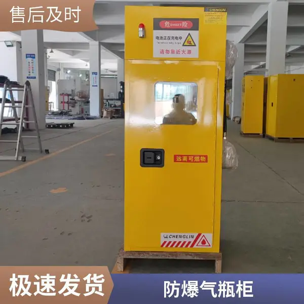 防爆型气瓶柜(采用双层结构-全防爆电器配套设计)成霖