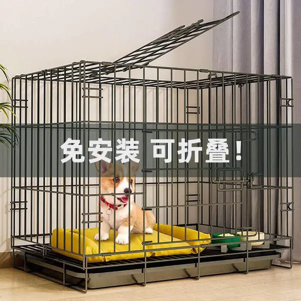 给宠物一个安全又温馨的小世界——彤洋宠物笼】