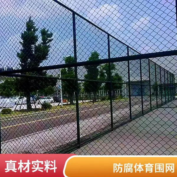 防腐镀锌勾花网 小区篮球场护栏网 浸塑防护网 2米高隔离网