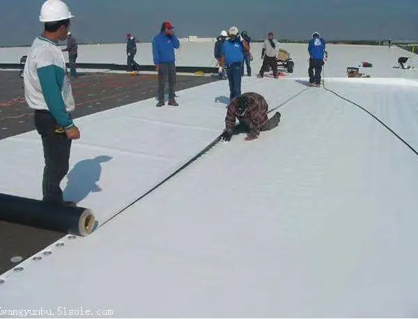 [�����������޻�Ϳ��] ����ˮ�Ծ۰�������ɰ��NFUcreedHD�̻���