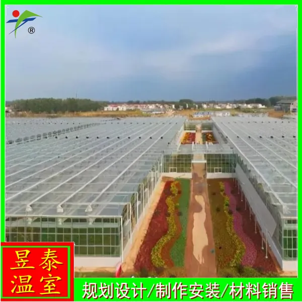 智能玻璃连栋温室蔬菜育苗种植大棚设计施工YTWSWL1178