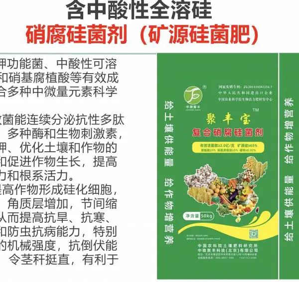 硝腐硅菌剂矿源硅藻菌肥有机螯合中微量元素速溶硅钙镁底肥追肥