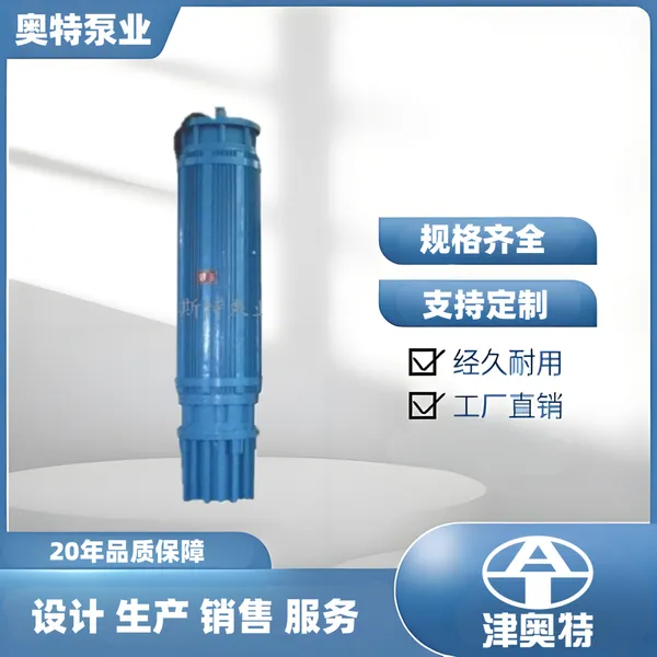 高压潜水电机 10kv矿用排水泵电机 支持方案设计厂家直销