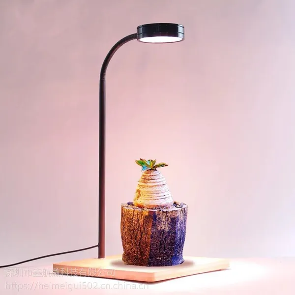 �����̨LEDֲ�ﲹ��ƴ�ľ�����ȫ����XIHV