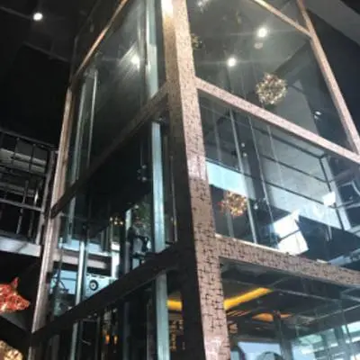 GMDEO德国帝奥_别墅电梯 家用电梯 观光电梯 住宅电梯 _别墅装电梯厂家 天津电梯实体