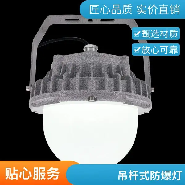 Exeb IICT6 防爆投光灯 管廊廊道防爆泛光灯 220V 工业照明灯具
